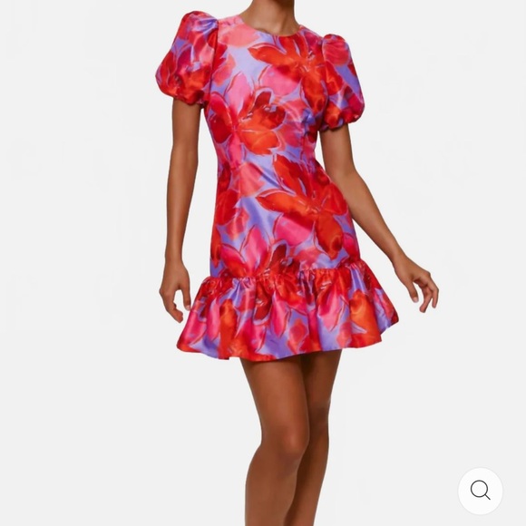 Hutch Pink and Red Floral Mini Dress - Picture 2 of 13